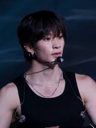 Anton Riize Erica Ha