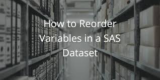 Most of the times, we want to sort variables manually with a custom sort order instead of alphabetically. How To Reorder Variables In A Sas Dataset Sas Example Code