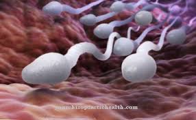 Dan 150x106/0,1 ml (dosis 3). Spermatogenesis Fungsi Tugas Penyakit Krperprozesse