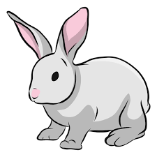 ilustracion de oreja de hocico de conejo de conejito descargar png svg transparente conejito descargar png svg transparente