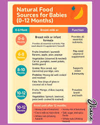 Image result for Infant Nutritional Sources