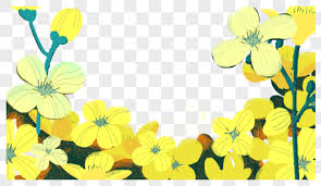White circle black shape, circle. 270000 Yellow Flower Border Hd Photos Free Download Lovepik Com