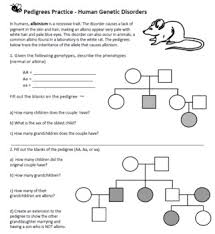 What does a horizontal line between a circle and square represent? Pedigree Practice Worksheet Teachers Pay Teachers