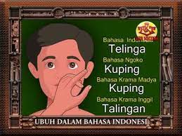 Masalahnya adalah begitu banyak alat pelurus rambut yang menggunakan panas dan bahan kimia. Bahasa Jawa Belajar Mengenal Anggota Tubuh Youtube