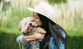 Don't see your favorite business? Brooklyn Pet Grooming Deals In And Near Brooklyn Ny Groupon