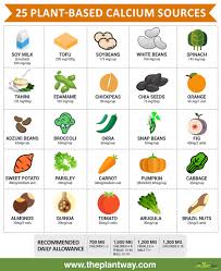 25 Vegan Sources Of Calcium Infographic