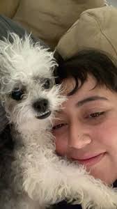 Overprotective dog seeks attention and scolds siblings