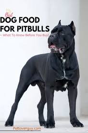 The best dog foods for pitbull puppies should contain the right amount and proper nutrients. Best Dog Food For Pitbulls What To Know Before You Buy Pet Lover Guy