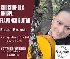 Christopher Arispe, Guitarist