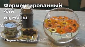 как правильно сделать чай из иван чая в домашних условиях Samyj Populyarnyj Travyanoj Fermentirovannyj Napitok Eto Konechno Koporskij Chaj Iz Kipreya Fermentirovannyj Ivan Chaj Bystrye Recepty Kulinariya Idei Dlya Blyud