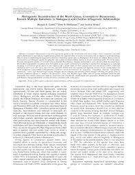 Image result for Commiphora fulvotomentosa