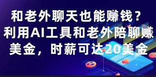 和老外聊天也能挣钱？利用AI工具和老外陪聊挣美金，时薪可达20刀 ...