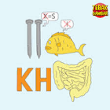 Maybe you would like to learn more about one of these? Kunci Jawaban Tebak Gambar Level 4 Terlengkap Gambar Pengertian