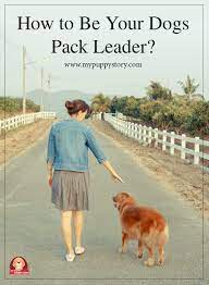 How To Be Your Dog's Pack Leader - My Puppy Story