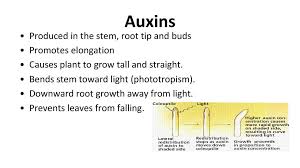 We did not find results for: Hormones The Control Of Plant Growth Ppt Download