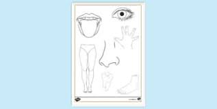 You can easily print or download them at your convenience. Free Body Parts Colouring Page For Toddlers Colouring