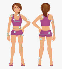 Madam commissioner, we are calling for specific measures to be taken. Transparent Manequim Png Tirar Medidas Para Roupas Png Download Kindpng