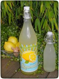 Zitronen Ingwer Wasser Immun Booster Fur Die Kalte Jahreszeit Wiewowasistgut Com Rezept Zitronenwasser Abnehmen Wasser Mit Fruchten Ingwer