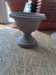 Image result for Holubia