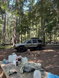 Image result for Forest Green 1999 Durango