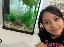 How does everyone sort out rocks and stone when redoing an aquarium? I have  a tank with a soil base with small pebbles