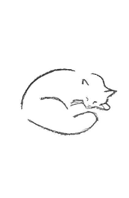 Next, begin sketching out the eyes, then add some shading around the inside of each eye. 4 Of The Cutest Drawings Of A Cat Sleeping Doodles And Sleeping Cat Drawing Stock Vectors Images Vector Art Carto Cat Drawing Cat Sleeping Sleeping Drawing