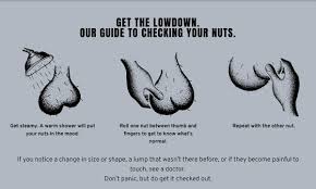 There are two types of testicular cancer. Movember Usa On Twitter Happy Thursday Have You Checked Your Nuts Today Doctors Recommend You Check Your Nuts At Least Once A Month Fire Up That Shower Get Steamy And Start Checking