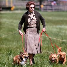 Elizabeth ii (elizabeth alexandra mary; Queen Elizabeth Ii 63 Years In 63 Pictures Bbc News
