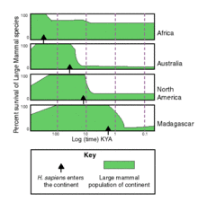 Holocene Extinction Wikipedia