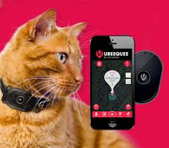1 whistle cat gps tracker. Gps Tracker For Cats Ubee Cat Uk Supplier Ubeequee