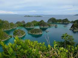 Raja ampat adalah gugusan kepulauan karang yang berada di ujung timur indonesia, papua. Raja Ampat