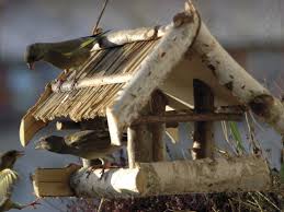 How long do crows… do crows collect shiny objects? Dobar Wildlife En Dobar En