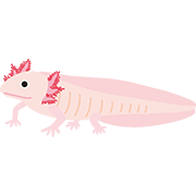 Pixiv is an illustration community service where you can post and enjoy creative work. ãƒ¡ã‚­ã‚·ã‚³ã‚µãƒ©ãƒžãƒ³ãƒ€ãƒ¼ ã‚¦ãƒ¼ãƒ'ãƒ¼ãƒ«ãƒ¼ãƒ'ãƒ¼ ã‚¯ãƒªãƒƒãƒ—ã‚¢ãƒ¼ãƒˆ ãƒ—ãƒªãƒ³ãƒˆã‚¢ã‚¦ãƒˆãƒ•ã‚¡ã‚¯ãƒˆãƒªãƒ¼ Myricoh