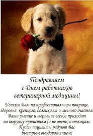 Поразите всех необычайными и приятными пожеланиями! Luchshie Pozdravleniya S Dnem Veterinarnogo Vracha 64 Krasivye Prikolnye Vsyo Dlya Prazdnika
