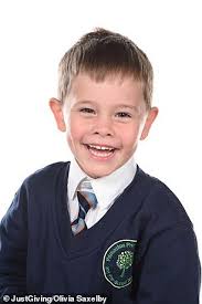 Thousands of people queue in the rain in stem cell drive for five-year-old  with cancer