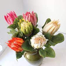 | / find artificial flowers for your diy christmas floral designs, like this beautiful red velvet poinsettia stem. Customized Artificial Flowers South Africa Protea Cynaroides High End Artificial King Protea Flowers Buy King Protea South Africa Protea Cynaroides King Protea High End Emulation Silk Flower King Protea Artificial Flower Product On Alibaba Com