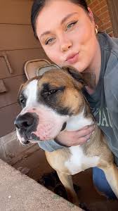 I have a four year old pitbull that is in need of rehoming. Unfortunately,  his name is Casper and he is deaf. He has a lot of love to give. He is