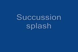 Image result for Succussion Splash