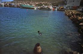 Hoteles cerca de bay harbour market. Hout Bay Fish Market Cape Town Lomography