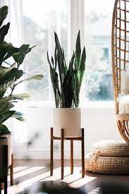 Mid Century Modern Plant Stand With Higher Elevation Hand Etsy Mid Century Modern Plant Stand Modern Plant Stand Mid Century Modern Plants