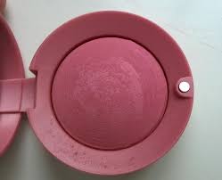Bourjois Blush In Cendre De Rose Brune Ashes Of Roses 48 Bourjois Blush Bourjois Medium Skin Tone