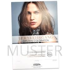 Lycée professionnel de l'automobile emile béjuit bron. Diplome Coloration L Oreal Professionnel Zwei Punkte Akademie