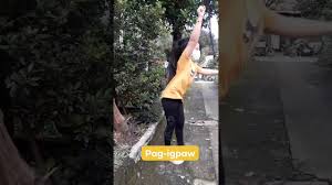 Di lokomotor pagkandirit picture / what are the lokomotor and di lokomotor give me five examples each what is the definition yahoo answers / pagtakbo pagkandirit pag iskape pagtalon pagpapadulas. Pagtakbo Pag Igpaw Pag Eskape At Pagkandirit P T In Mapeh Youtube