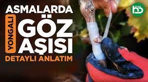 Goz Asisi Nasil Ve Ne Zaman Yapilir Goz Asisi Cesitleri Mac 3 Youtube