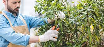 Landschaftsgärtner, die ihre exklusiven träume im garten umsetzen. Umschulung Gartner Arbeitsamt Info 2021