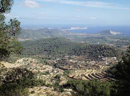 Pin En Ibiza Nature Ibiza Naturaleza