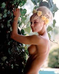 Elke Sommer - Free pics, galleries & more at Babepedia