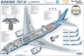 Boeing 787 Cross Section Boeing 787 8 Boeing 787 Dreamliner Boeing 787