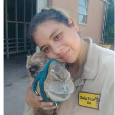 It takes a strong team to work with the megafauna of the Zoo but we've got  a great group of individuals here. Michelle, Rolando, David, Juan, Erik,  Stephen, Pedro, Stephanie, and Bob
