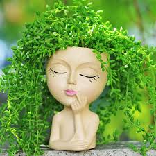 I love this flower pot so much and I just pot this. what do you think of it?